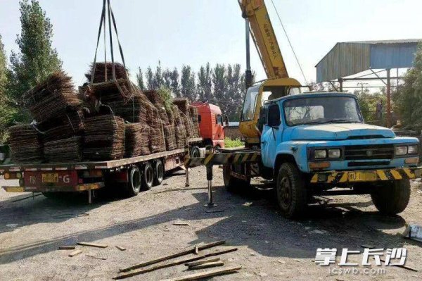 开yun体育网法院判决崔某某返复原物并抵偿亏本-开云「中国」kaiyun网页版登录入口