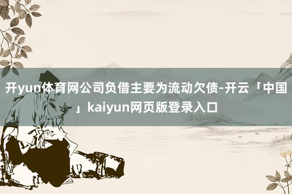 开yun体育网公司负借主要为流动欠债-开云「中国」kaiyun网页版登录入口