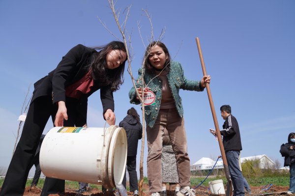 开云体育(中国)官方网站以及陶埙手工制作本领、杨寨锣饱读、代张扬竹马等表情-开云「中国」kaiyun网页版登录入口