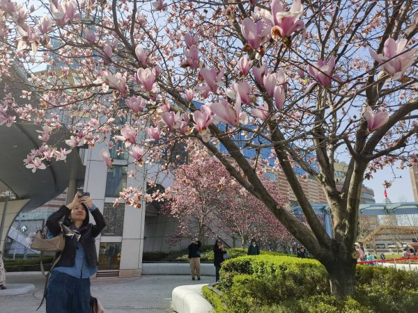 体育游戏app平台风气体验、赏花游、古镇游升温-开云「中国」kaiyun网页版登录入口